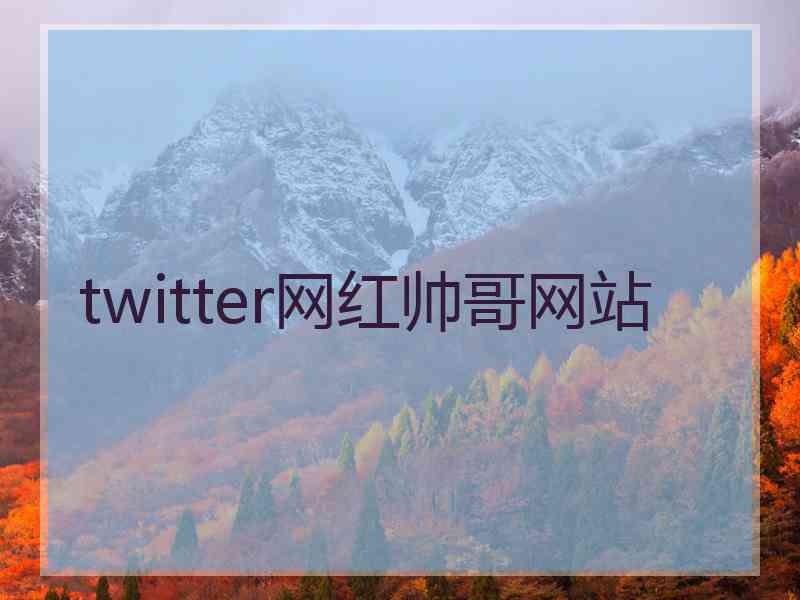 twitter网红帅哥网站