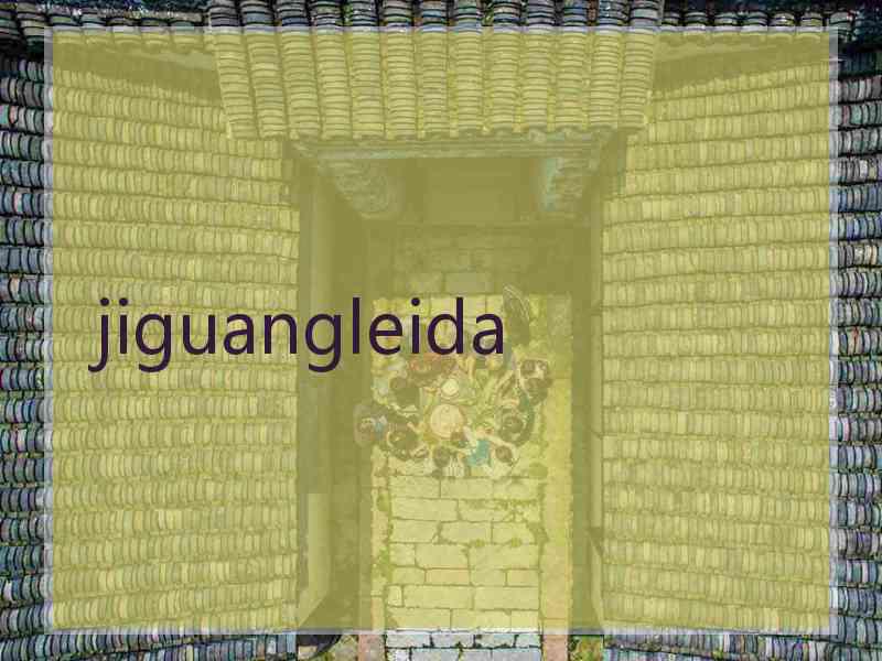 jiguangleida