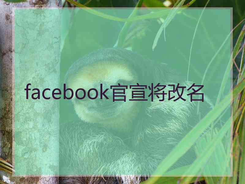 facebook官宣将改名