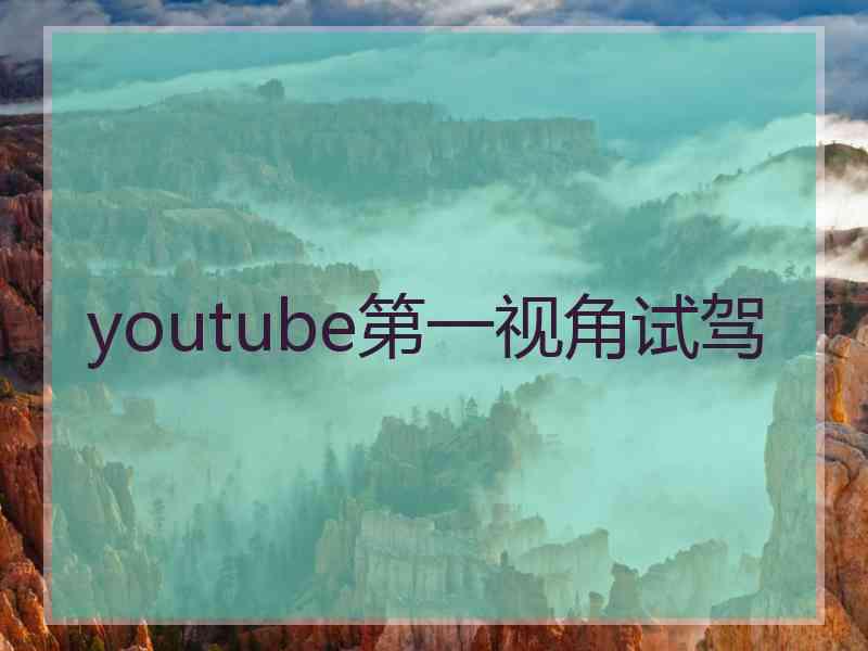 youtube第一视角试驾