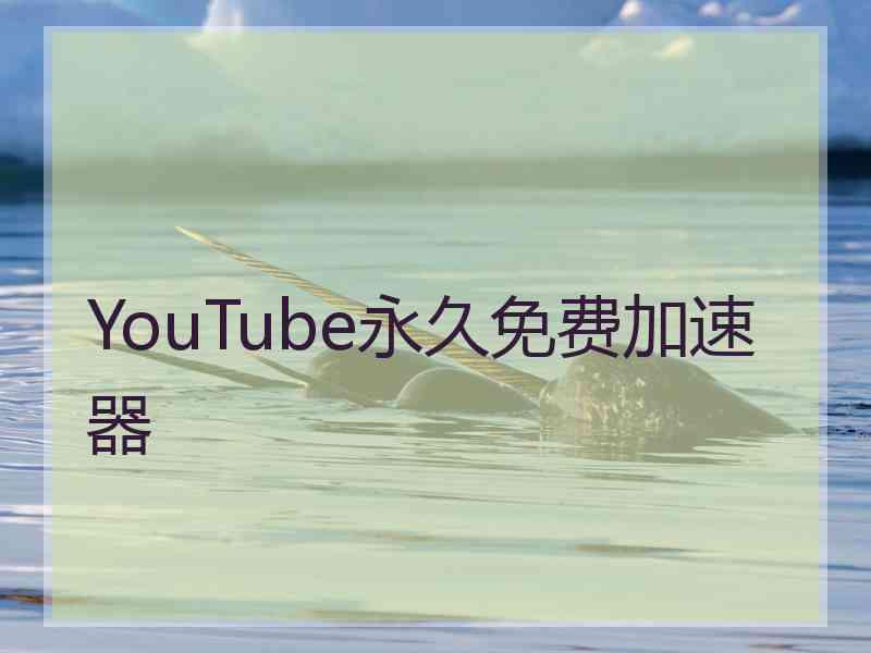 YouTube永久免费加速器