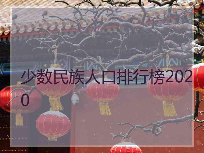 少数民族人口排行榜2020