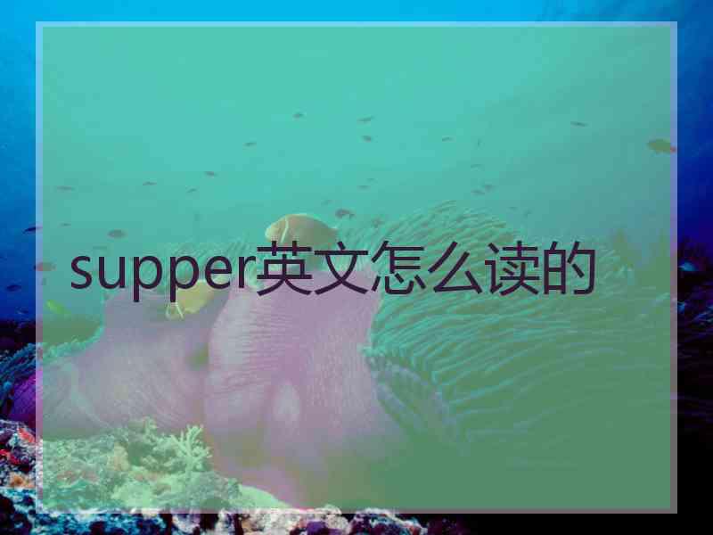 supper英文怎么读的