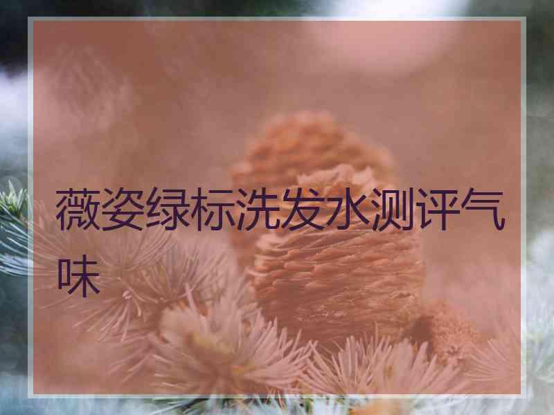 薇姿绿标洗发水测评气味