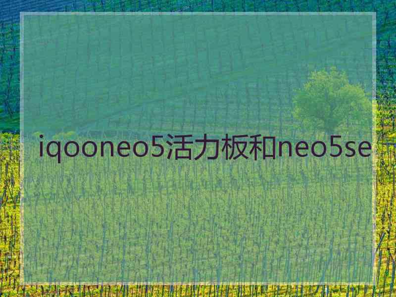 iqooneo5活力板和neo5se