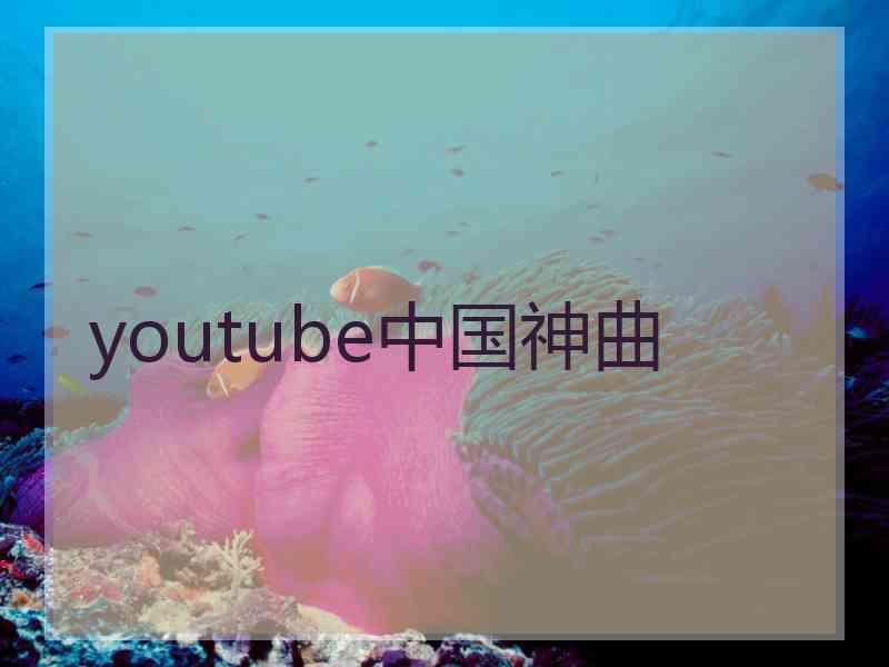 youtube中国神曲