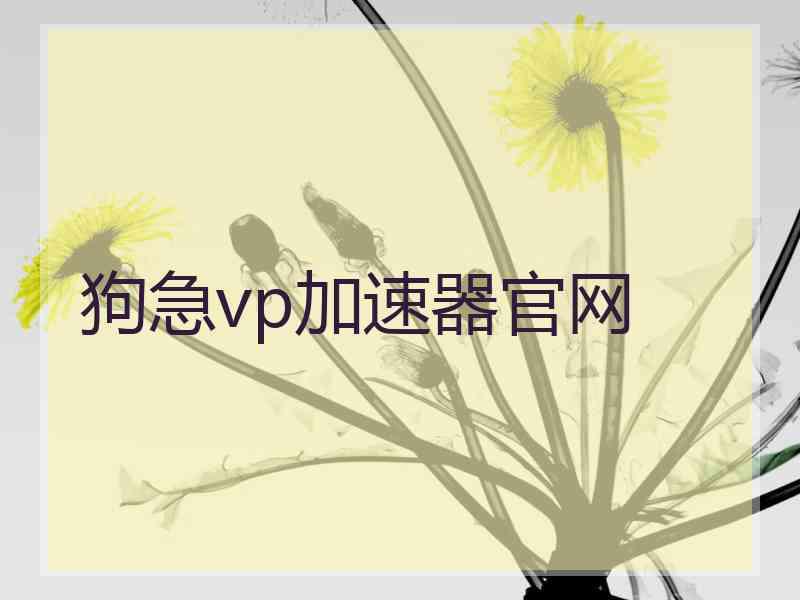 狗急vp加速器官网