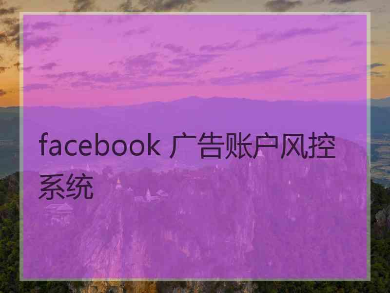 facebook 广告账户风控系统