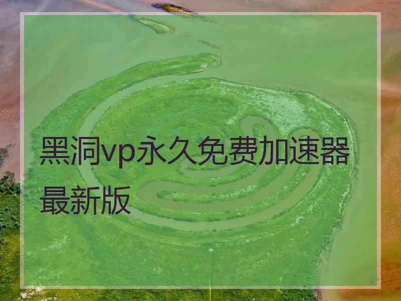 黑洞vp永久免费加速器最新版