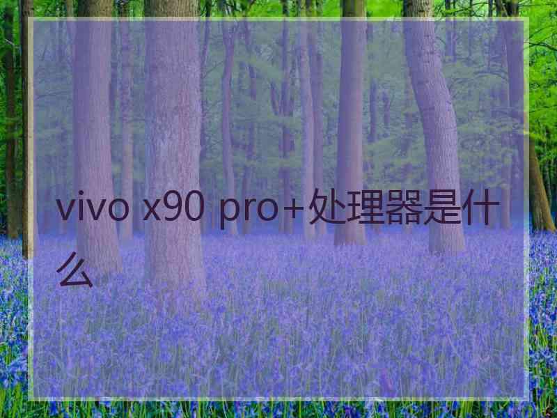 vivo x90 pro+处理器是什么