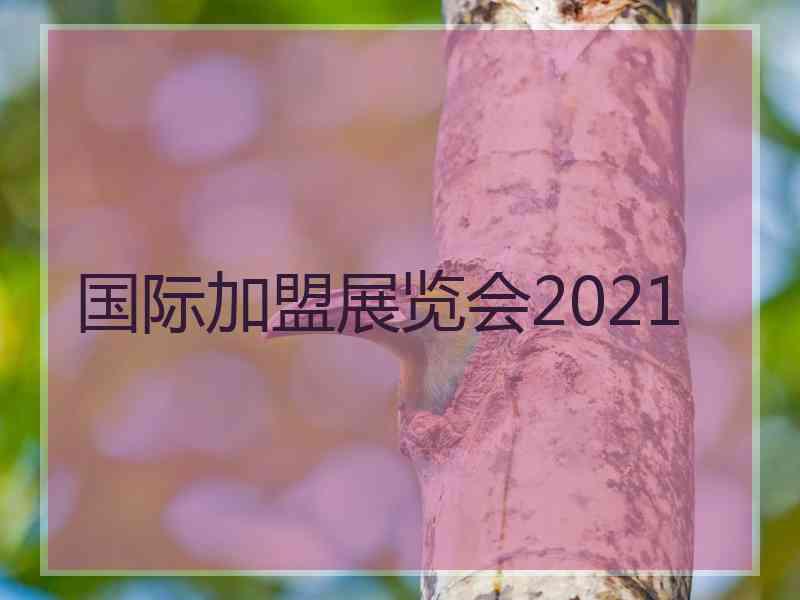 国际加盟展览会2021