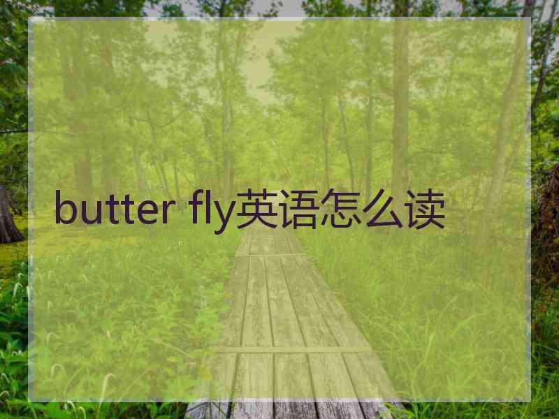 butter fly英语怎么读