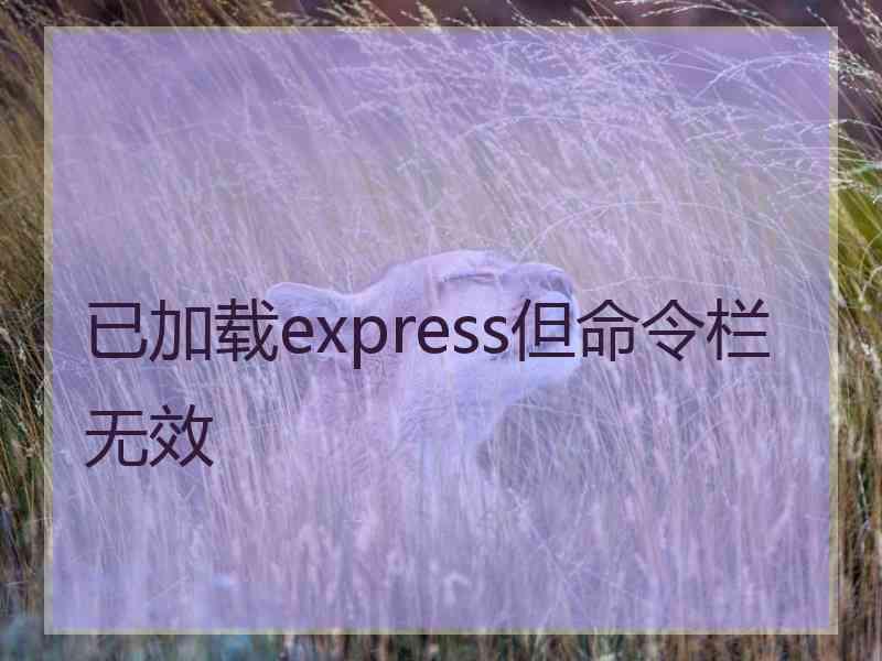 已加载express但命令栏无效