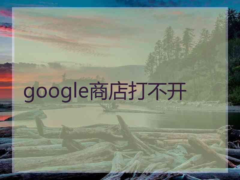 google商店打不开