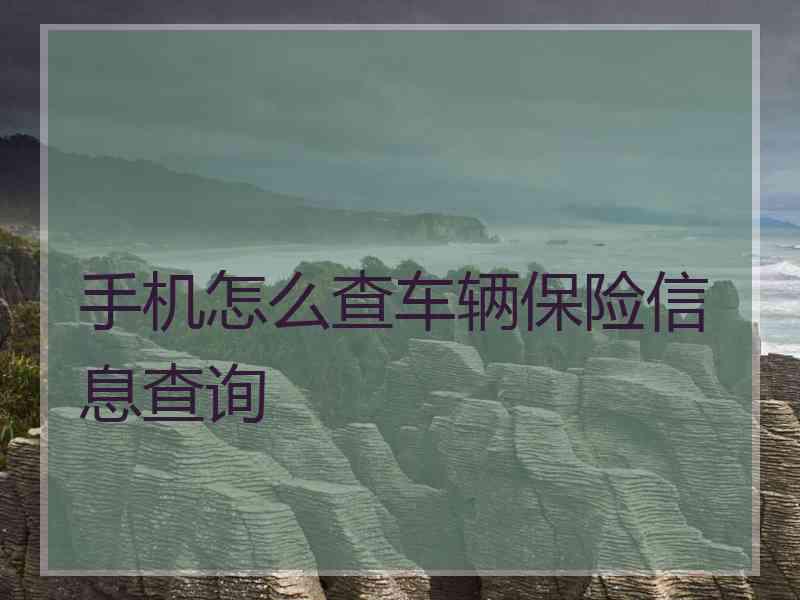 手机怎么查车辆保险信息查询