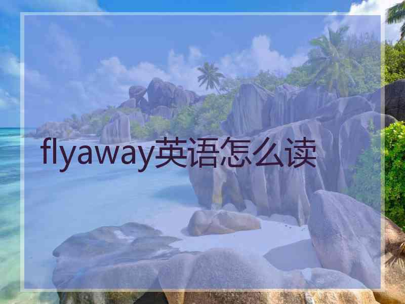 flyaway英语怎么读