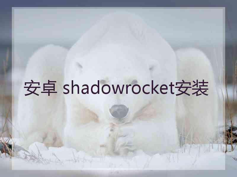 安卓 shadowrocket安装