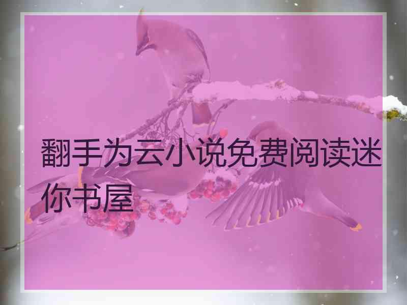 翻手为云小说免费阅读迷你书屋