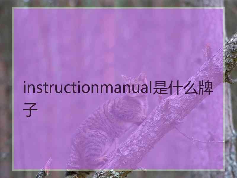 instructionmanual是什么牌子