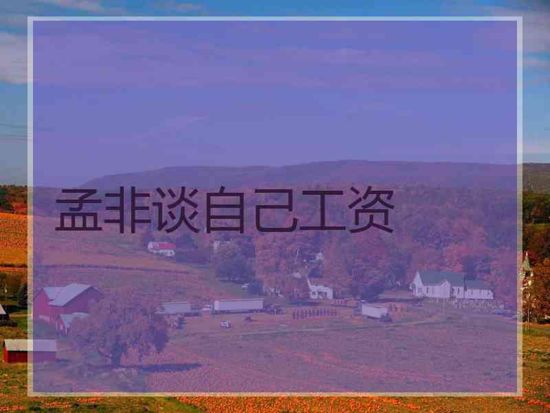 孟非谈自己工资