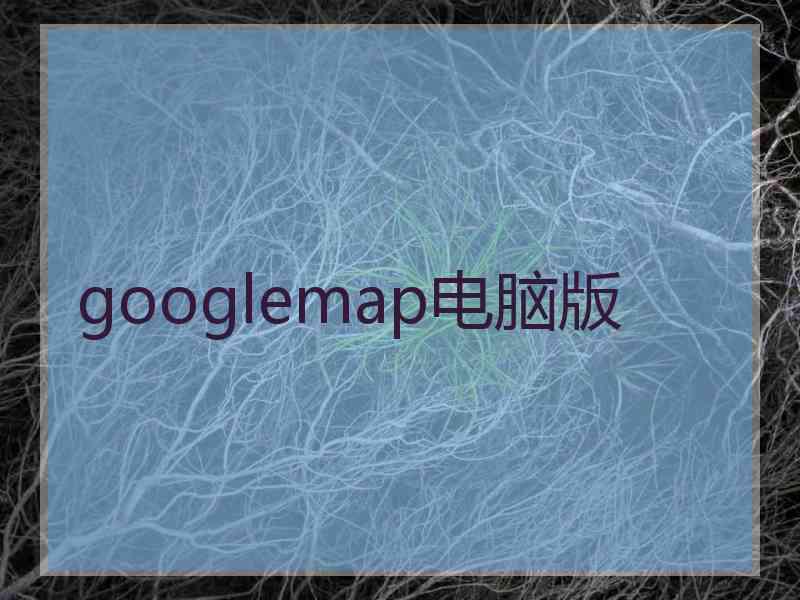 googlemap电脑版