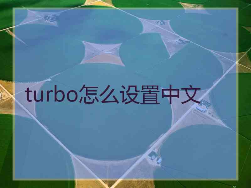 turbo怎么设置中文