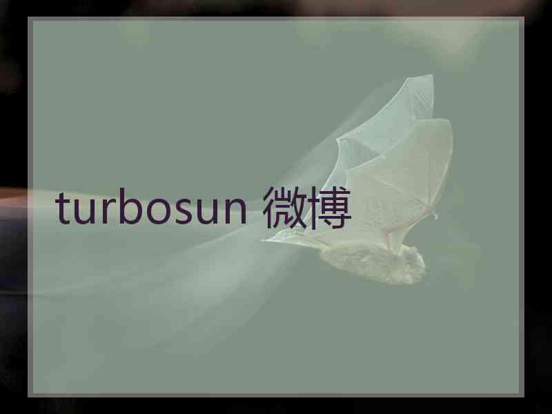 turbosun 微博