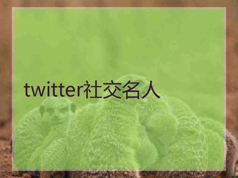 twitter社交名人