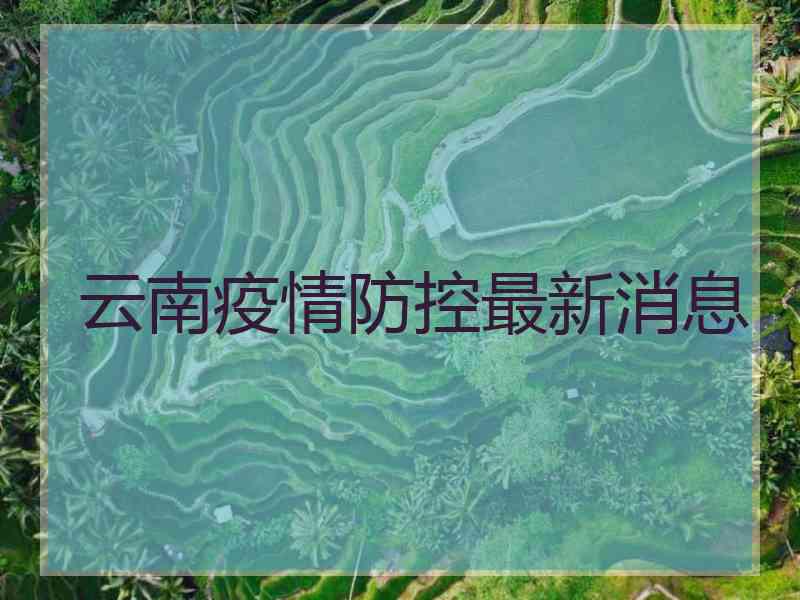 云南疫情防控最新消息