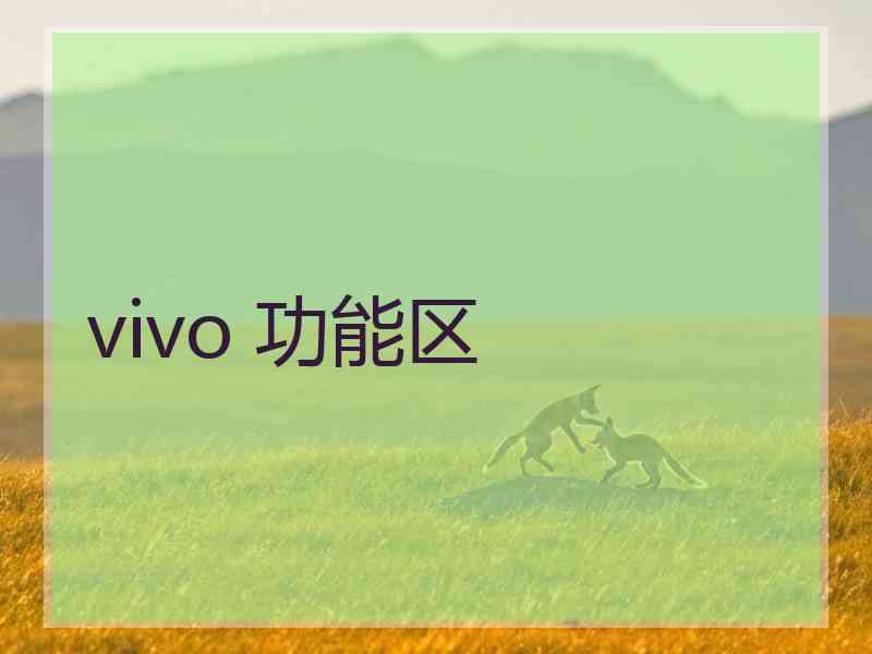 vivo 功能区