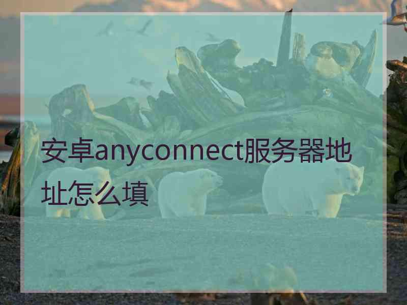 安卓anyconnect服务器地址怎么填