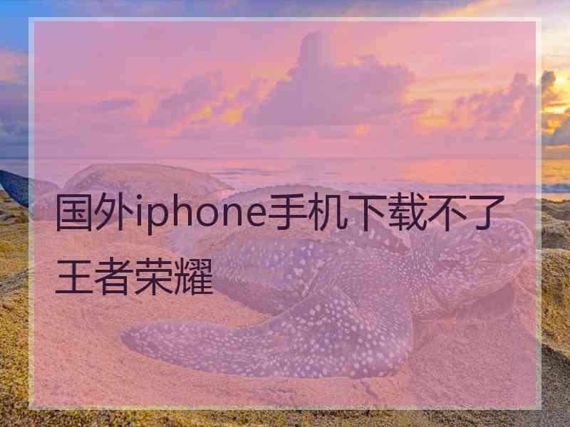 国外iphone手机下载不了王者荣耀