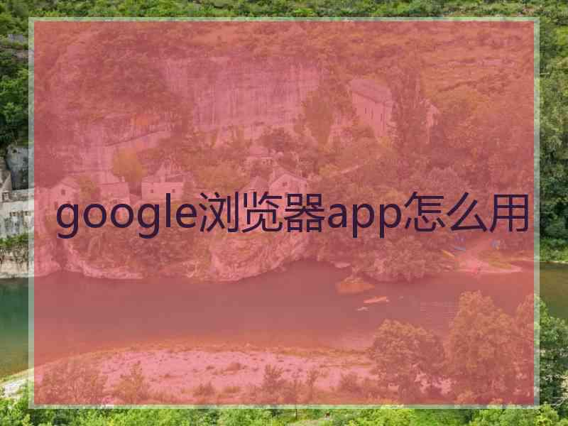 google浏览器app怎么用