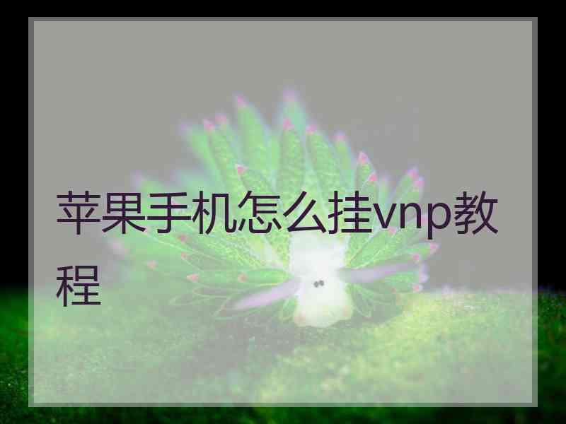 苹果手机怎么挂vnp教程