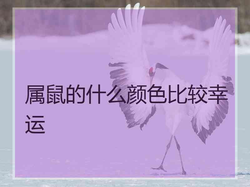 属鼠的什么颜色比较幸运