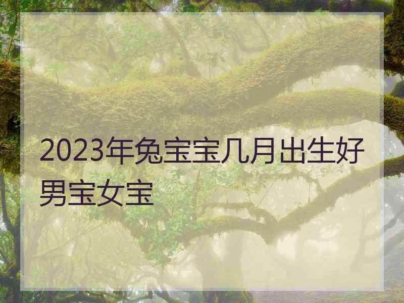 2023年兔宝宝几月出生好男宝女宝