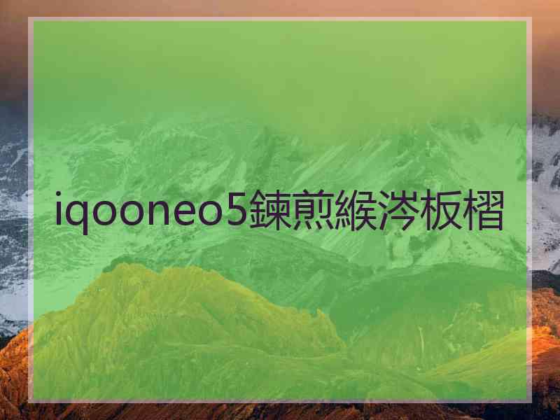 iqooneo5鍊煎緱涔板槢