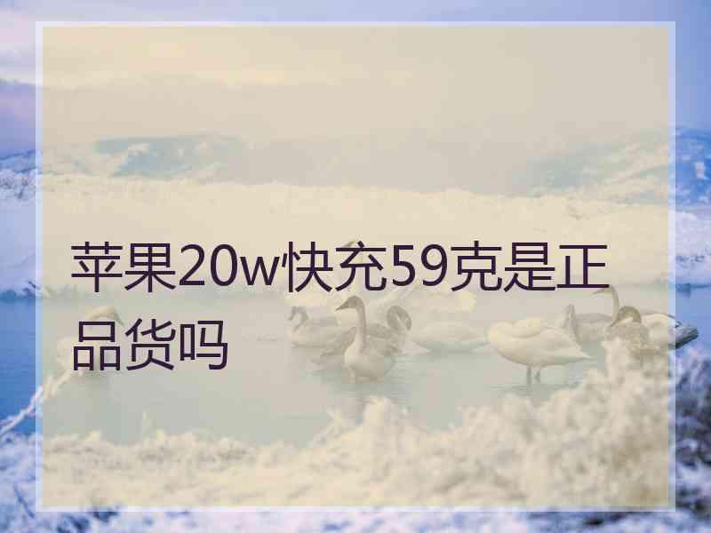 苹果20w快充59克是正品货吗