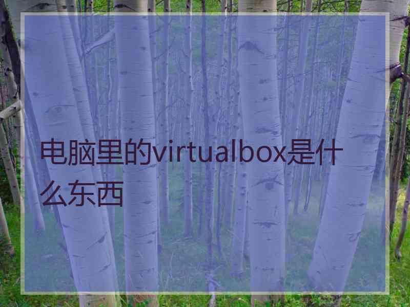 电脑里的virtualbox是什么东西