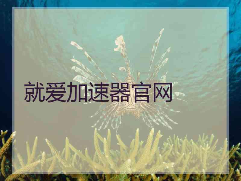 就爱加速器官网