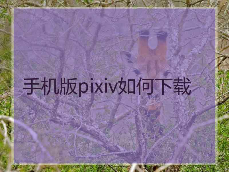 手机版pixiv如何下载