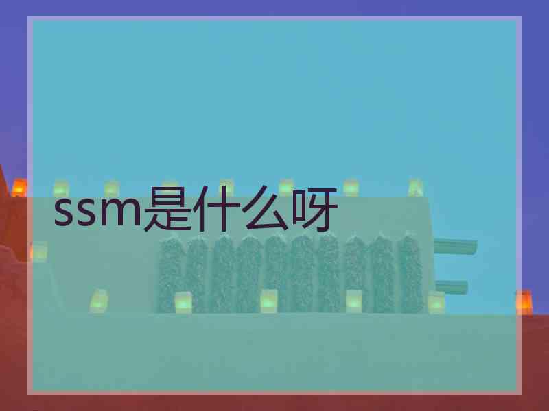 ssm是什么呀