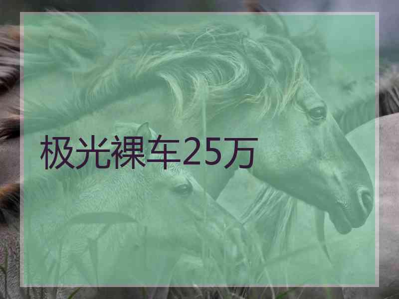 极光裸车25万