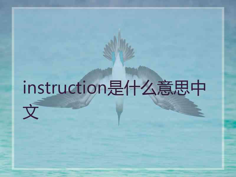 instruction是什么意思中文