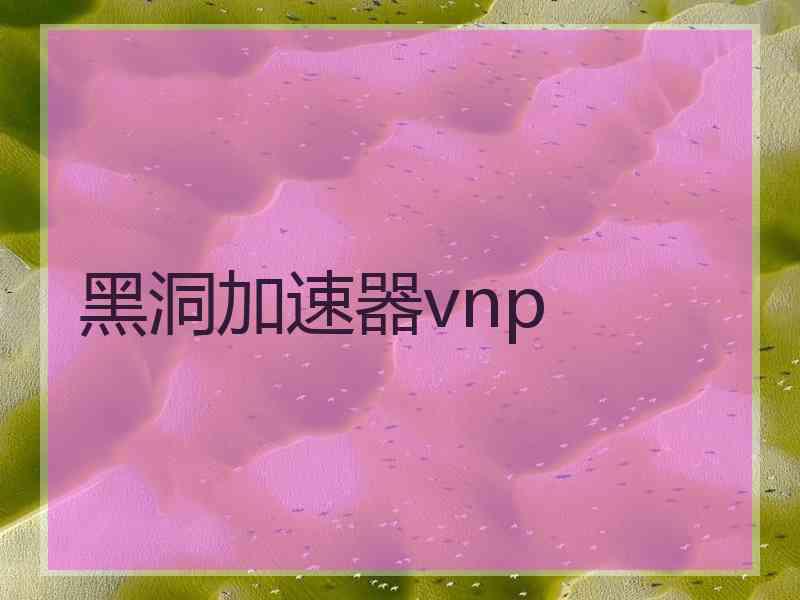 黑洞加速器vnp