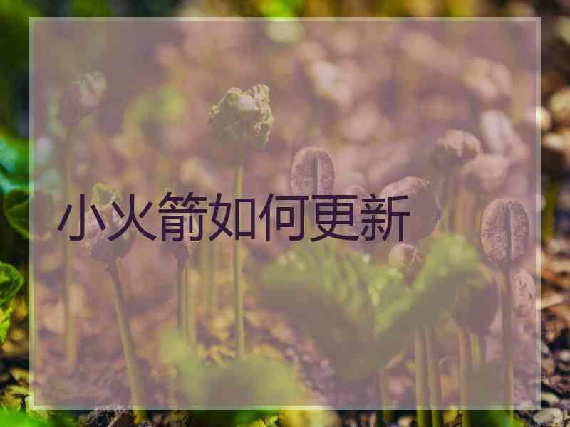 小火箭如何更新