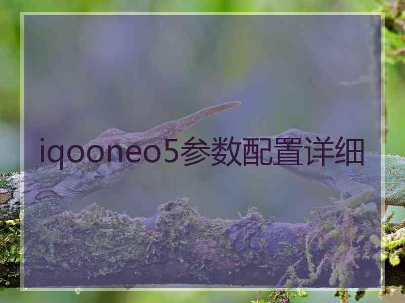 iqooneo5参数配置详细