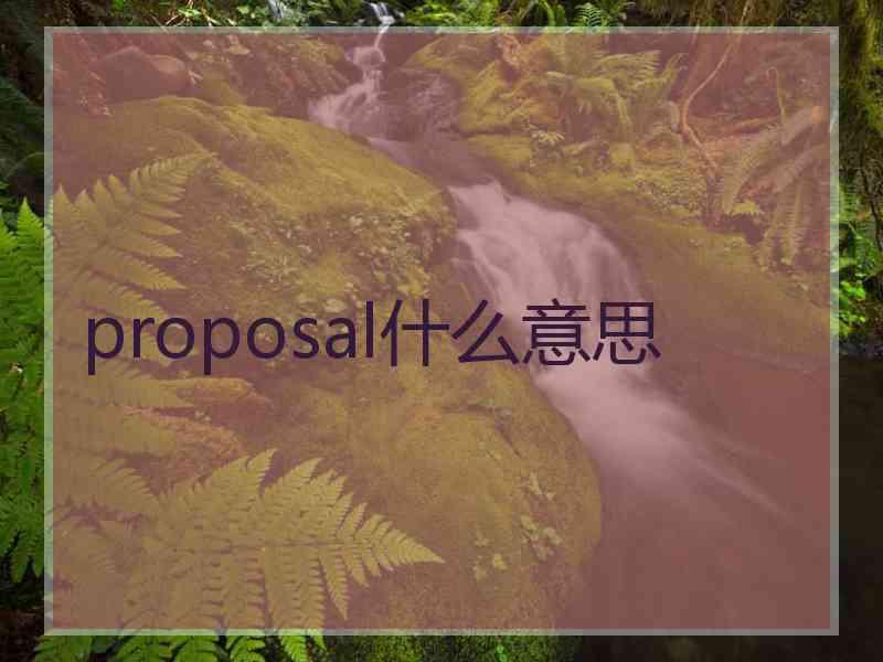 proposal什么意思