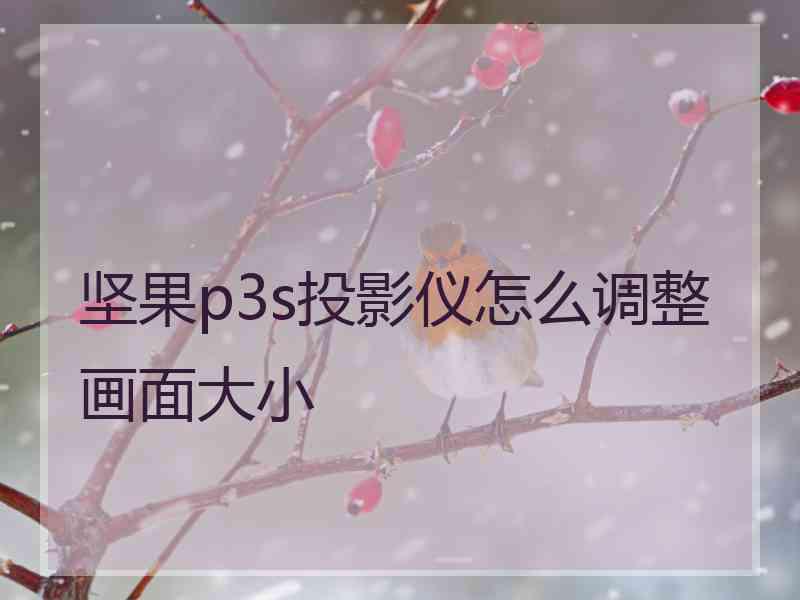 坚果p3s投影仪怎么调整画面大小