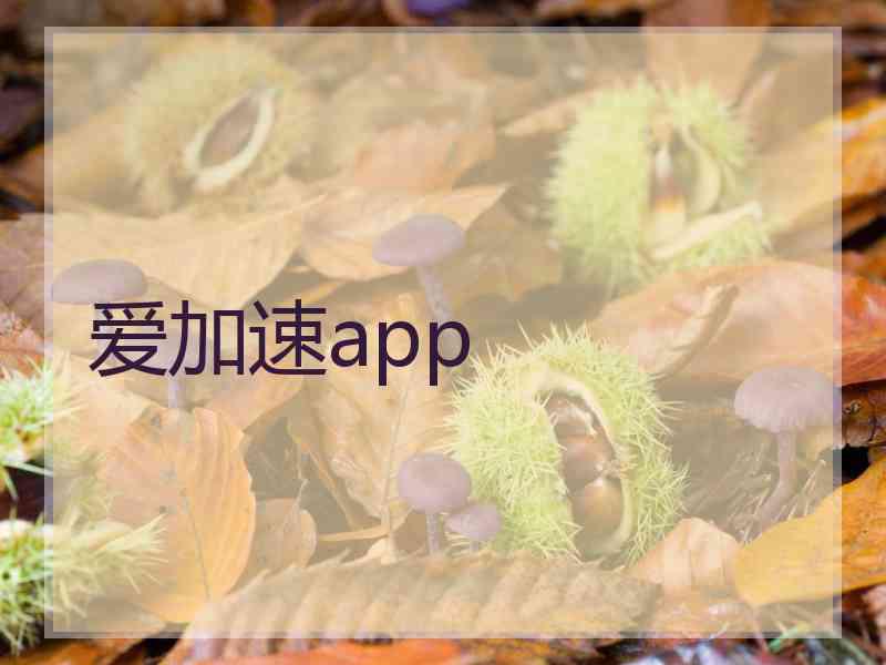 爱加速app